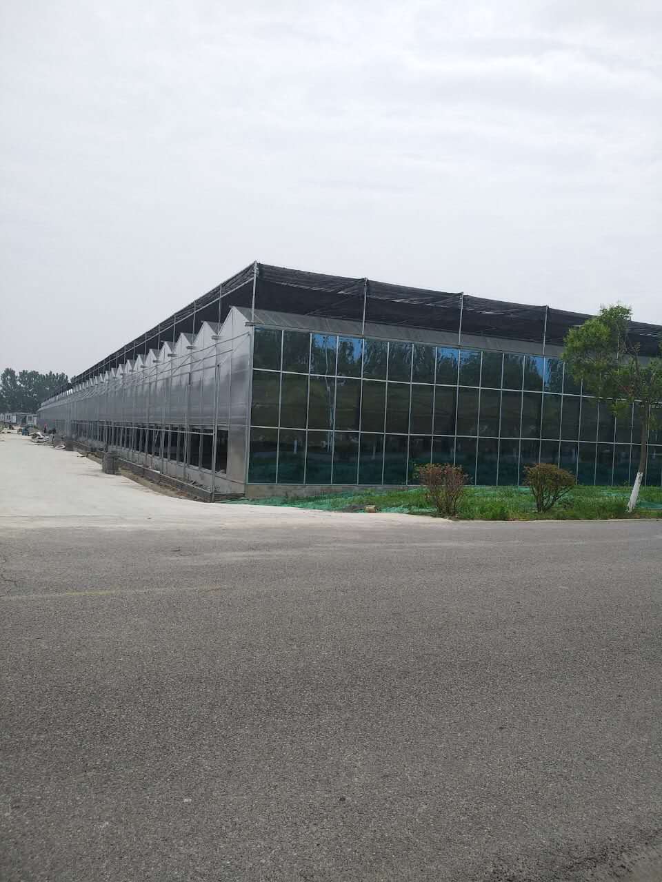 1596761110533713.jpg 3.jpg